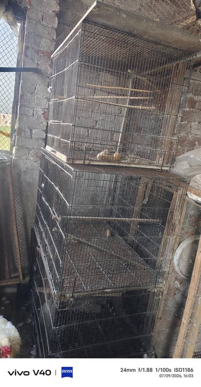 Used cages for sale