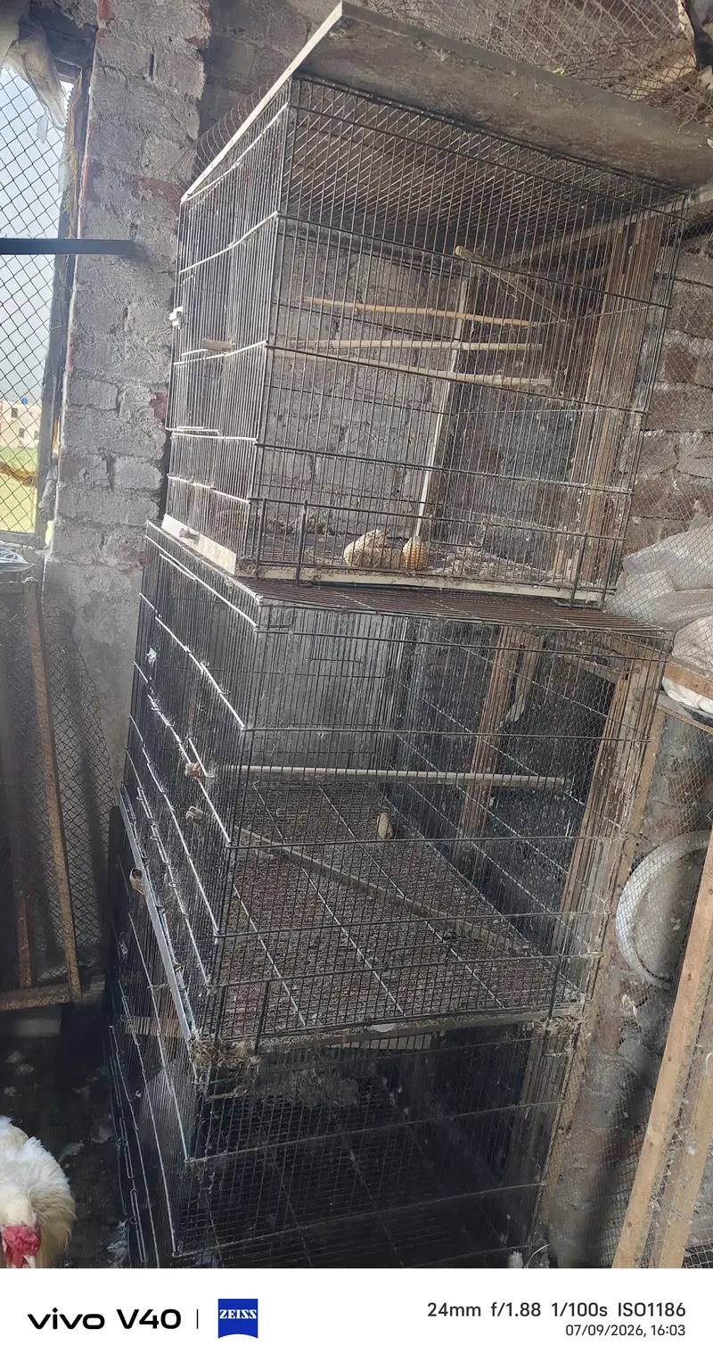 Used cages for sale