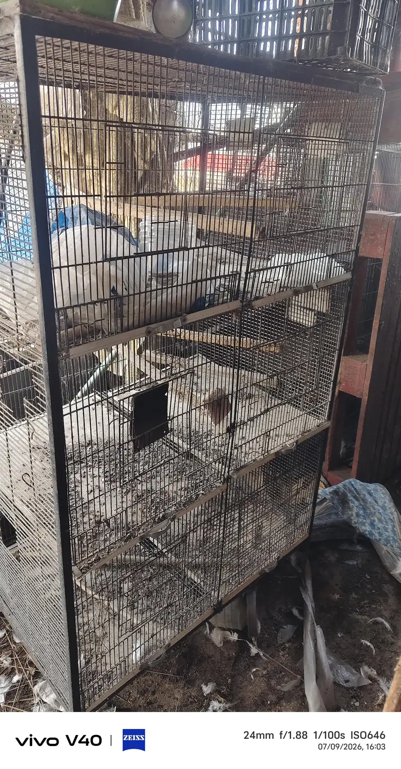 Used cages for sale — photo 2