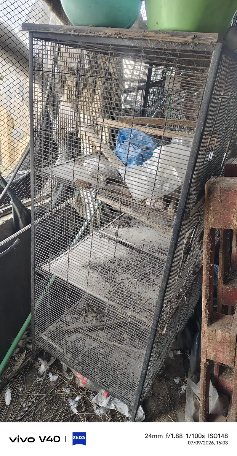 Used cages for sale — photo 3