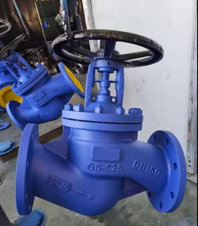 Cs globe valve