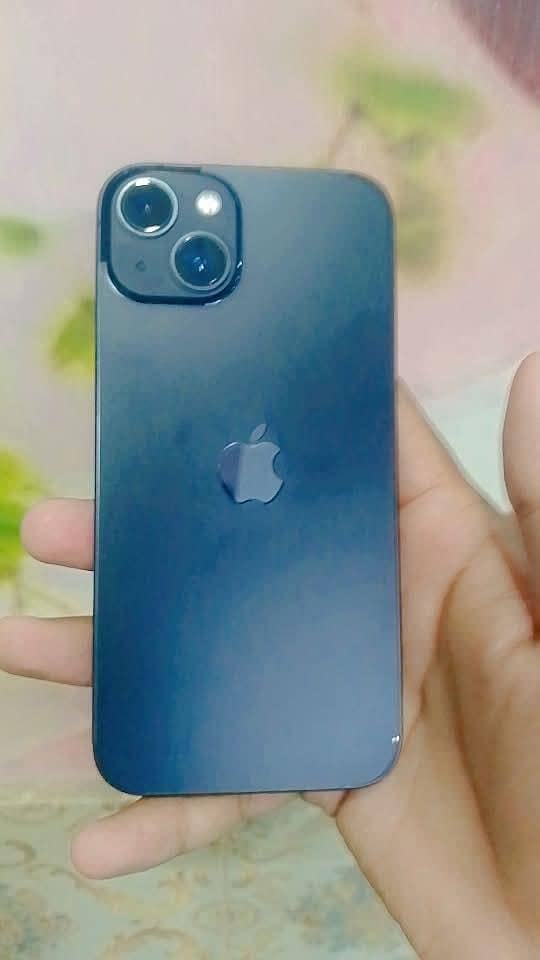 Apple iPhone 13 0