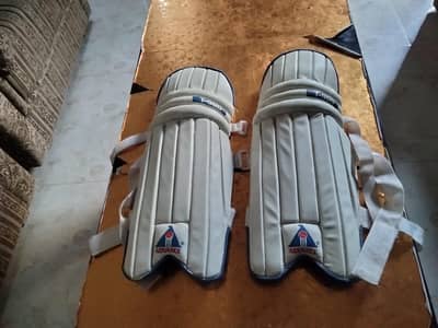 Knee Pads
