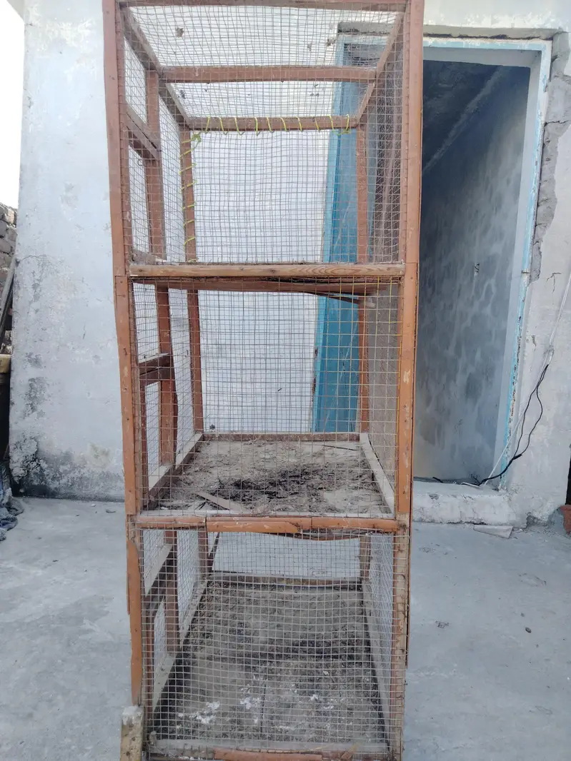 hen cages — photo 2