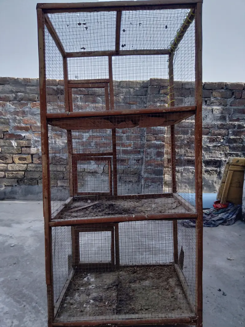 hen cages — photo 3
