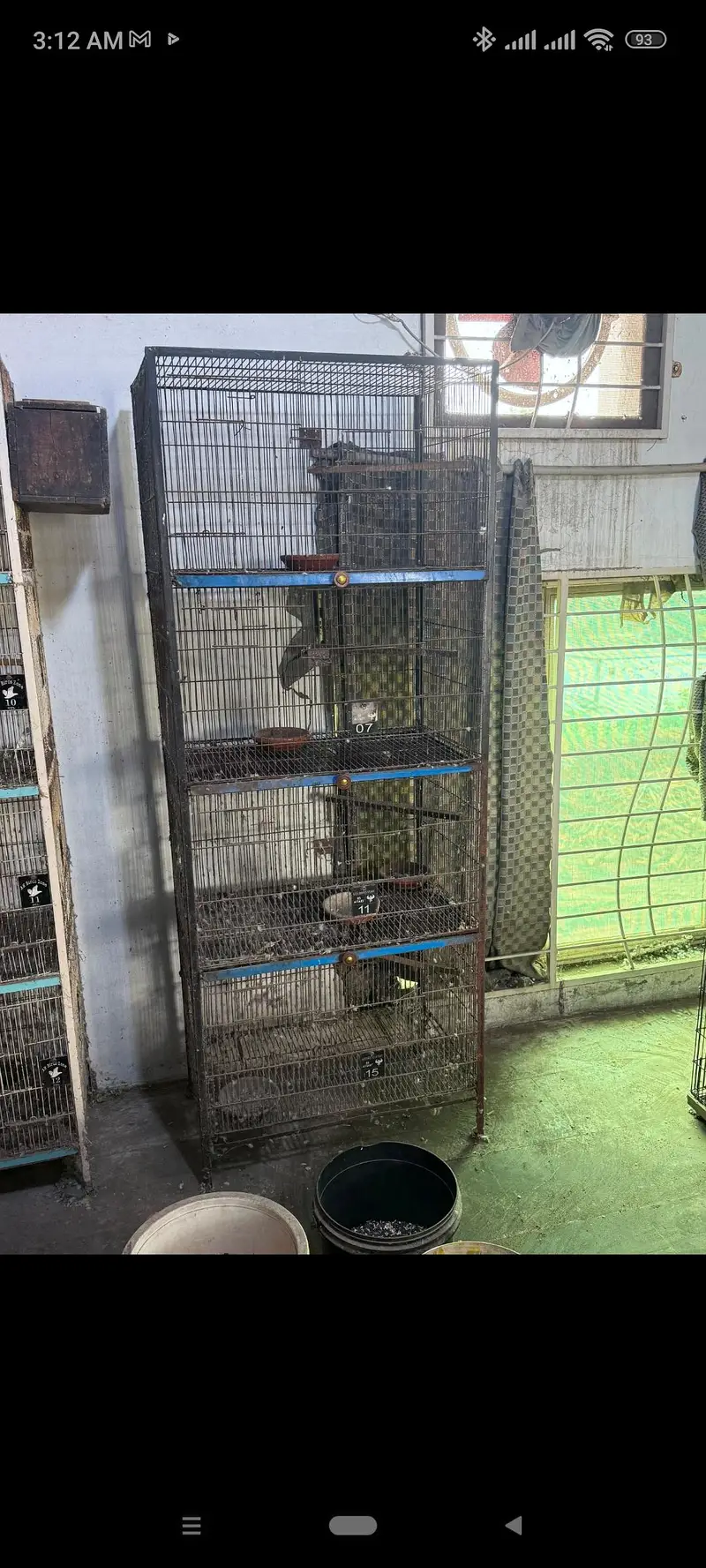 bird cages for sale