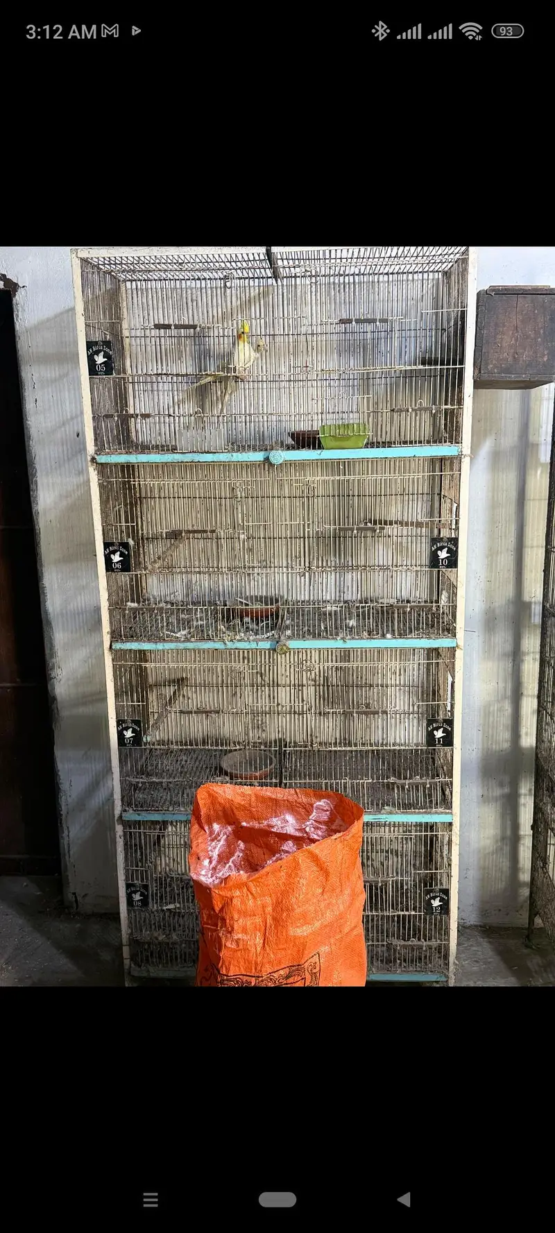 bird cages for sale — photo 2
