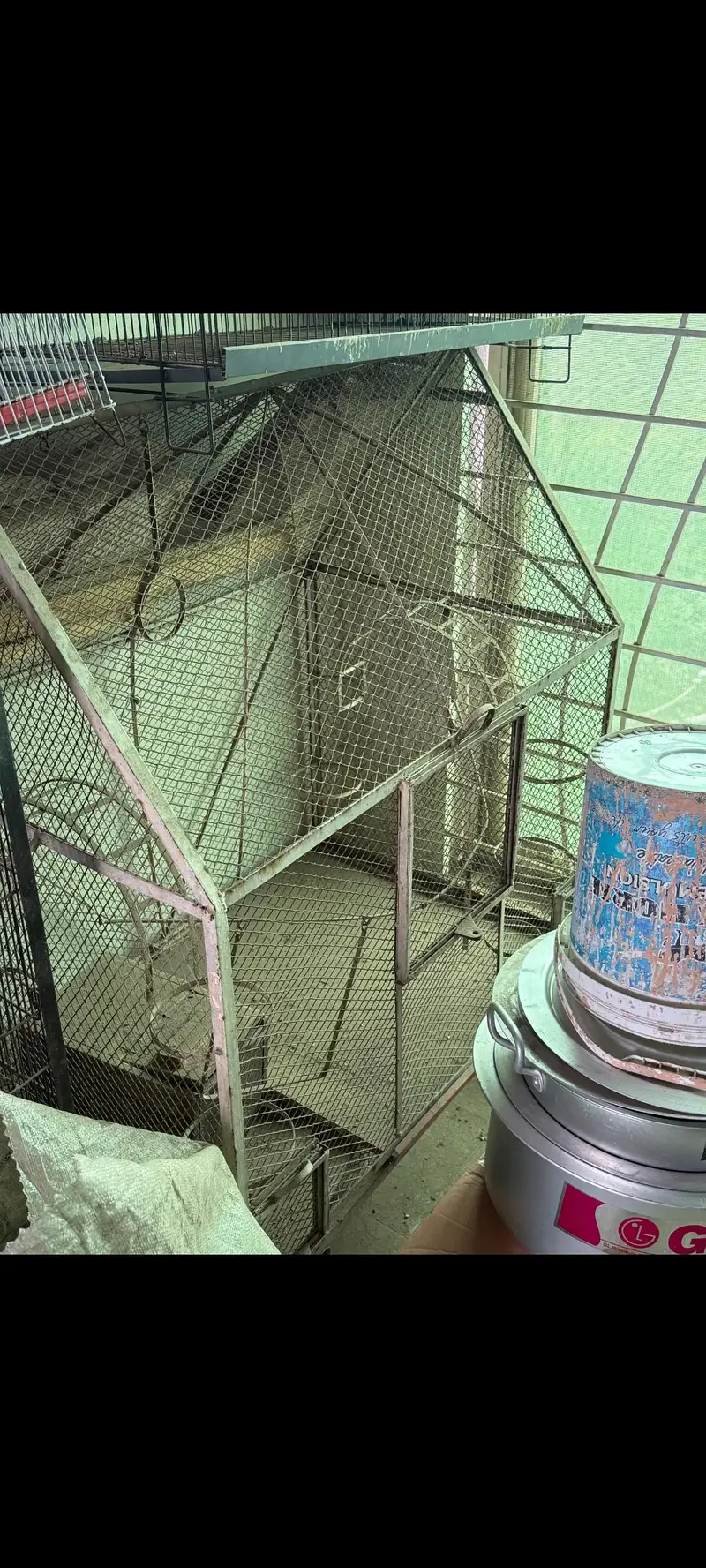 bird cages for sale — photo 3