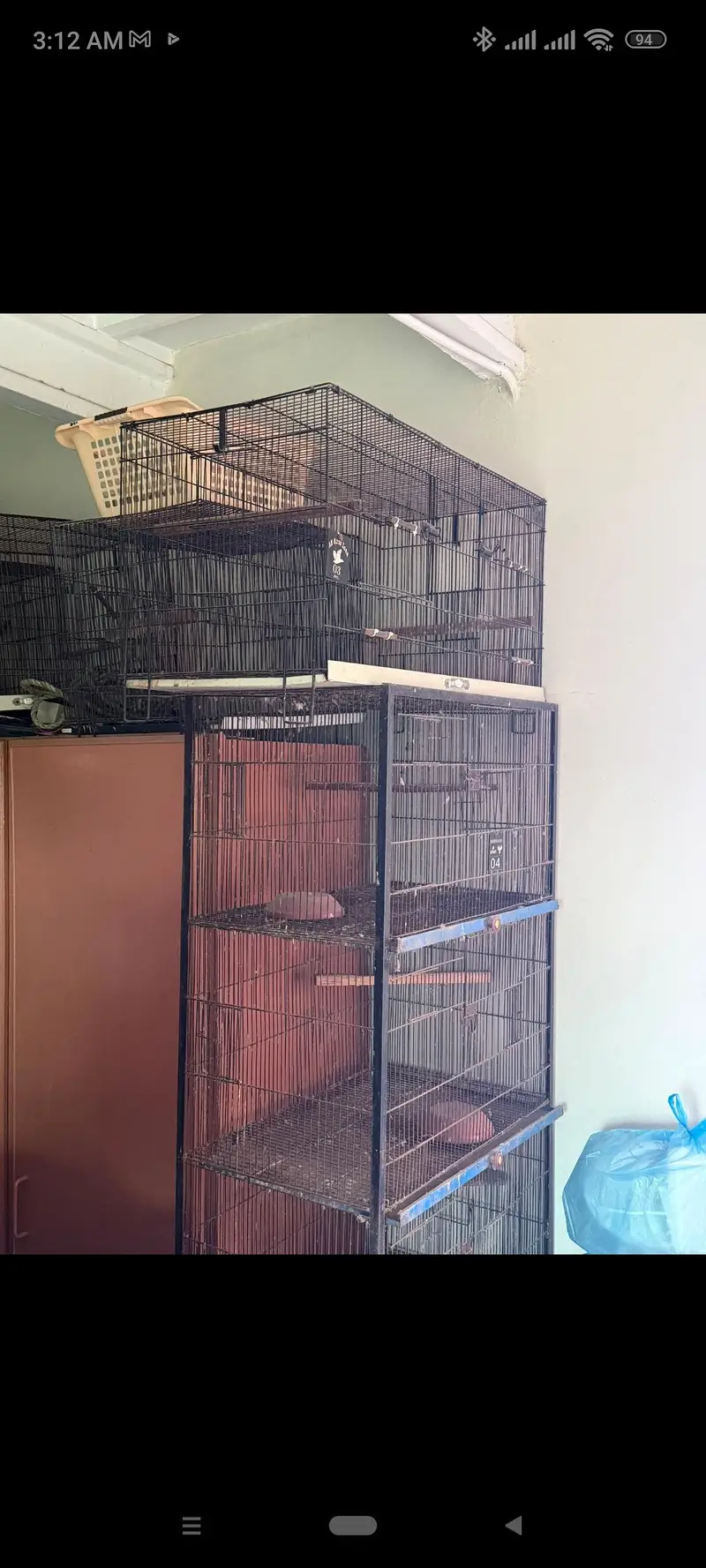 bird cages for sale — photo 4