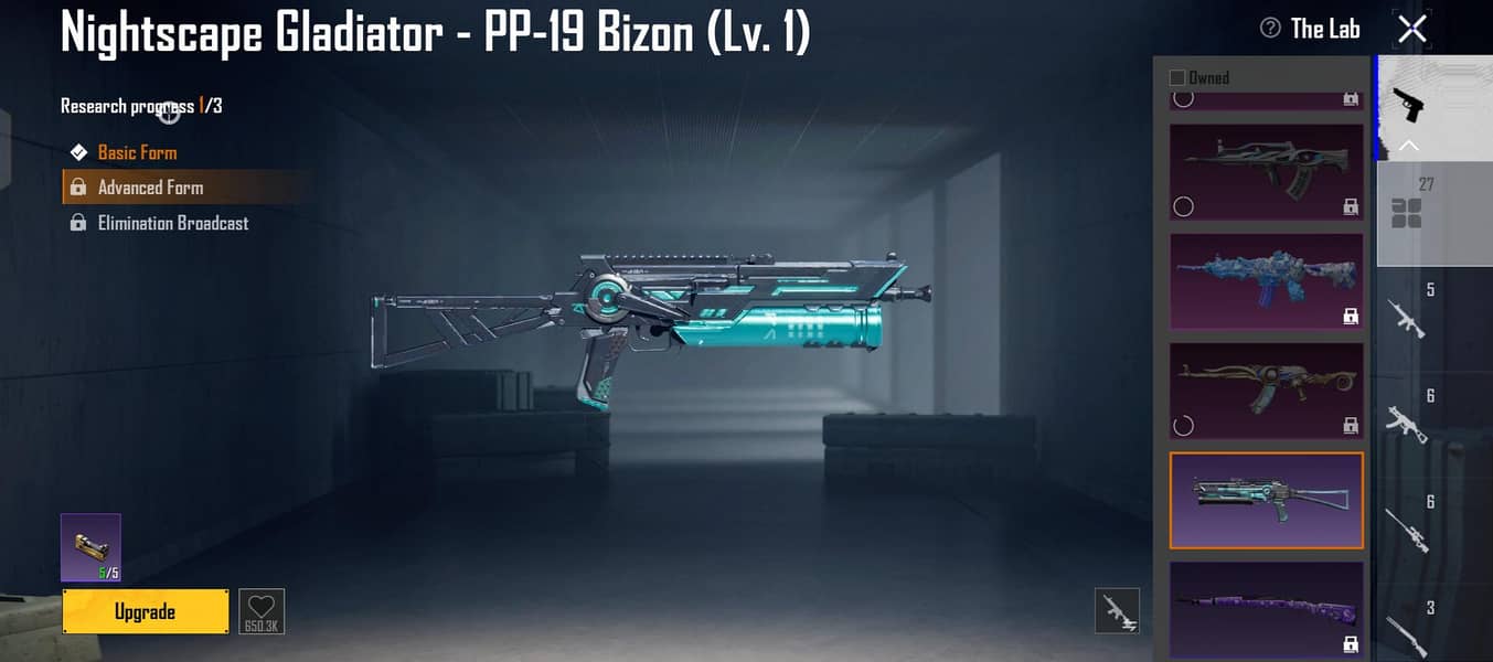 pubgid 5