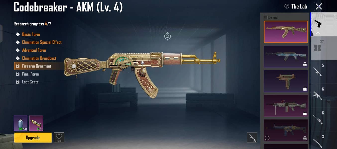 pubgid 10