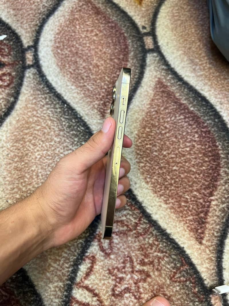 Apple iPhone 13 Pro Max 1