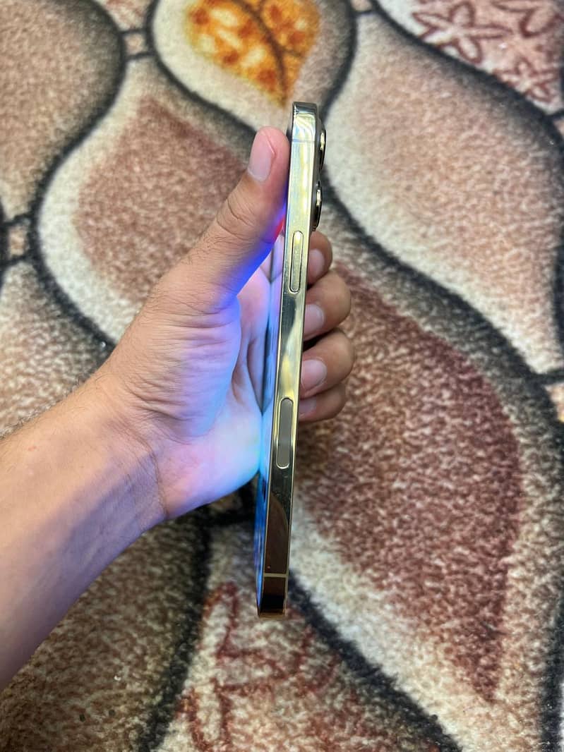 Apple iPhone 13 Pro Max 2
