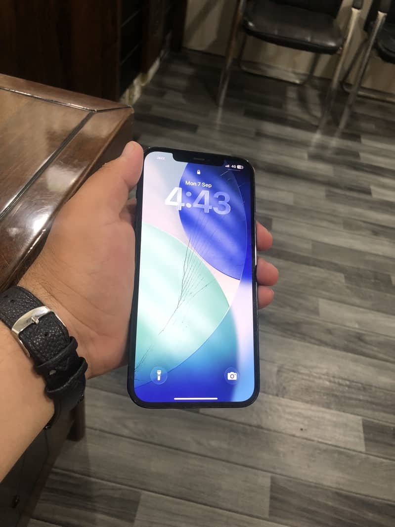 Apple iPhone 12 Pro Max 1