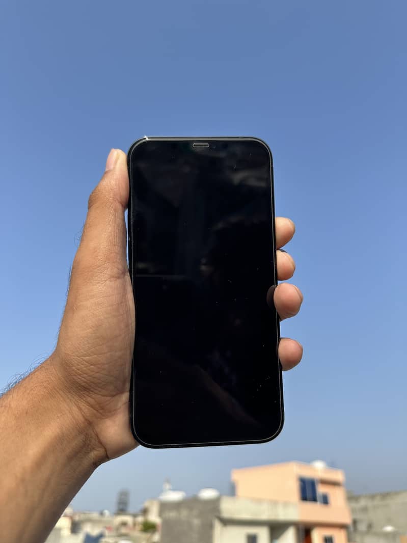 Apple iPhone 12 Pro Max 1