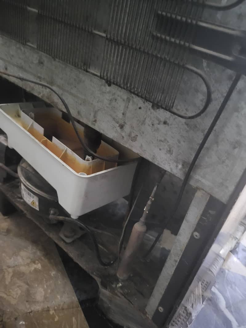 Dawlance fridge medium 6
