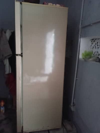 Pel full size fridge
