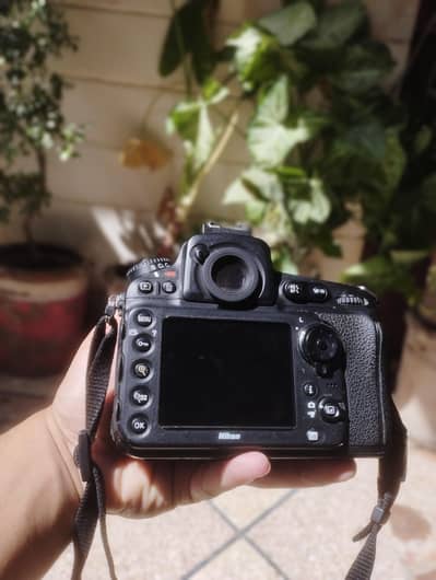 Nikon 810 Body