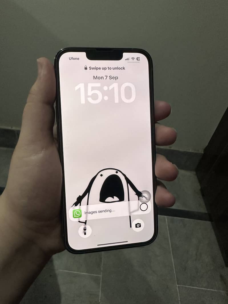 Apple iPhone 13 Pro 1