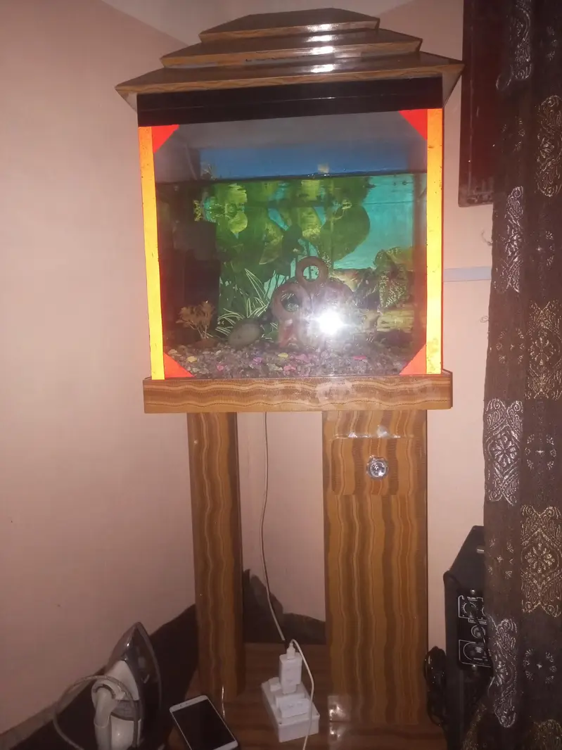 fish aquarium — photo 3
