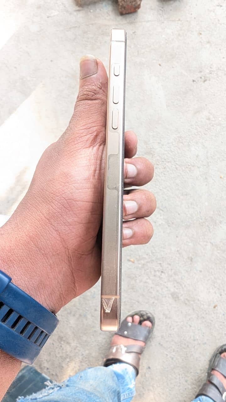 Apple iPhone 16 Pro Max 8