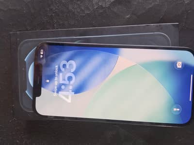 Apple iPhone 12 Pro Max