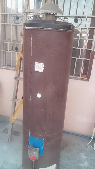 Gas geyser