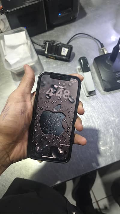 Apple iPhone 13