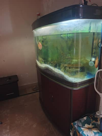 imported aquarium 4 feet with filter