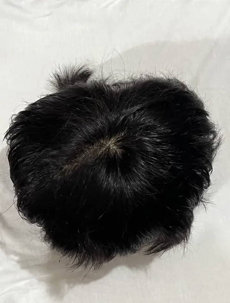 Human hair 2