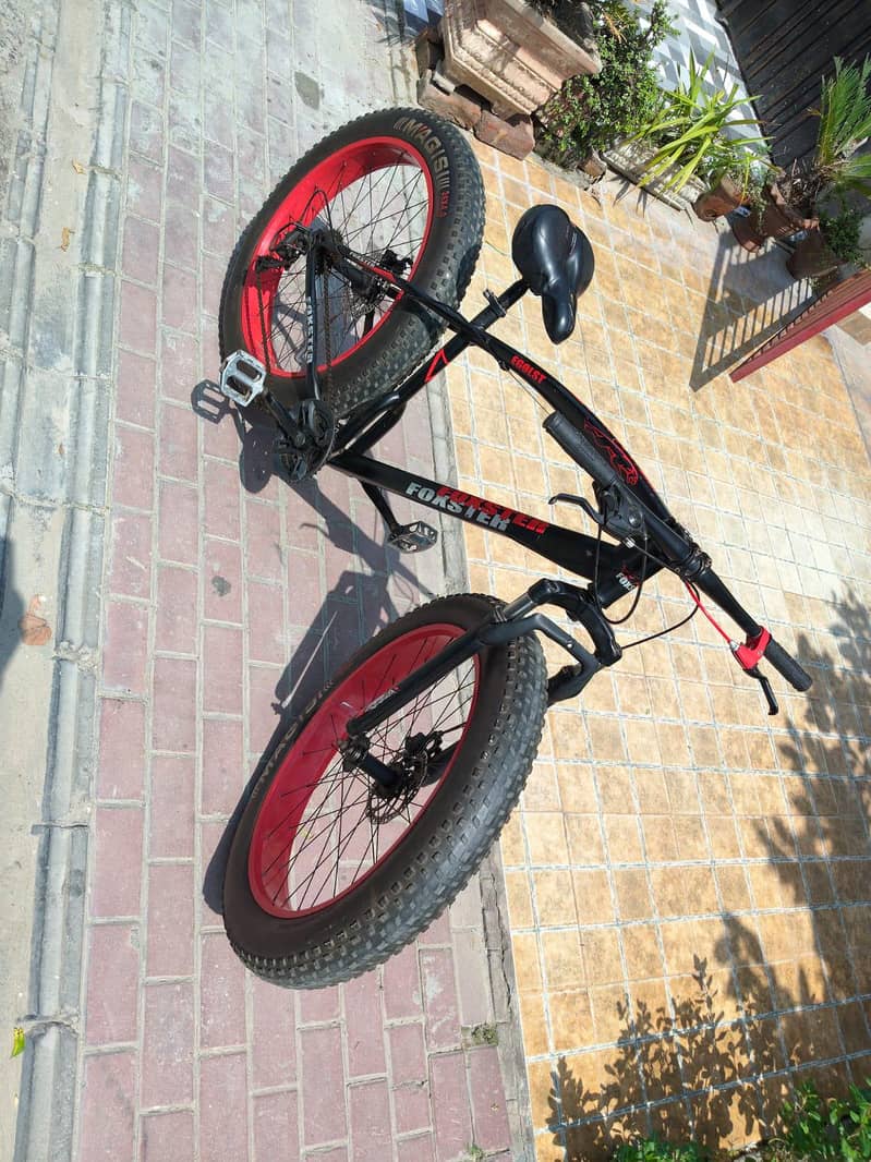 cycle 3