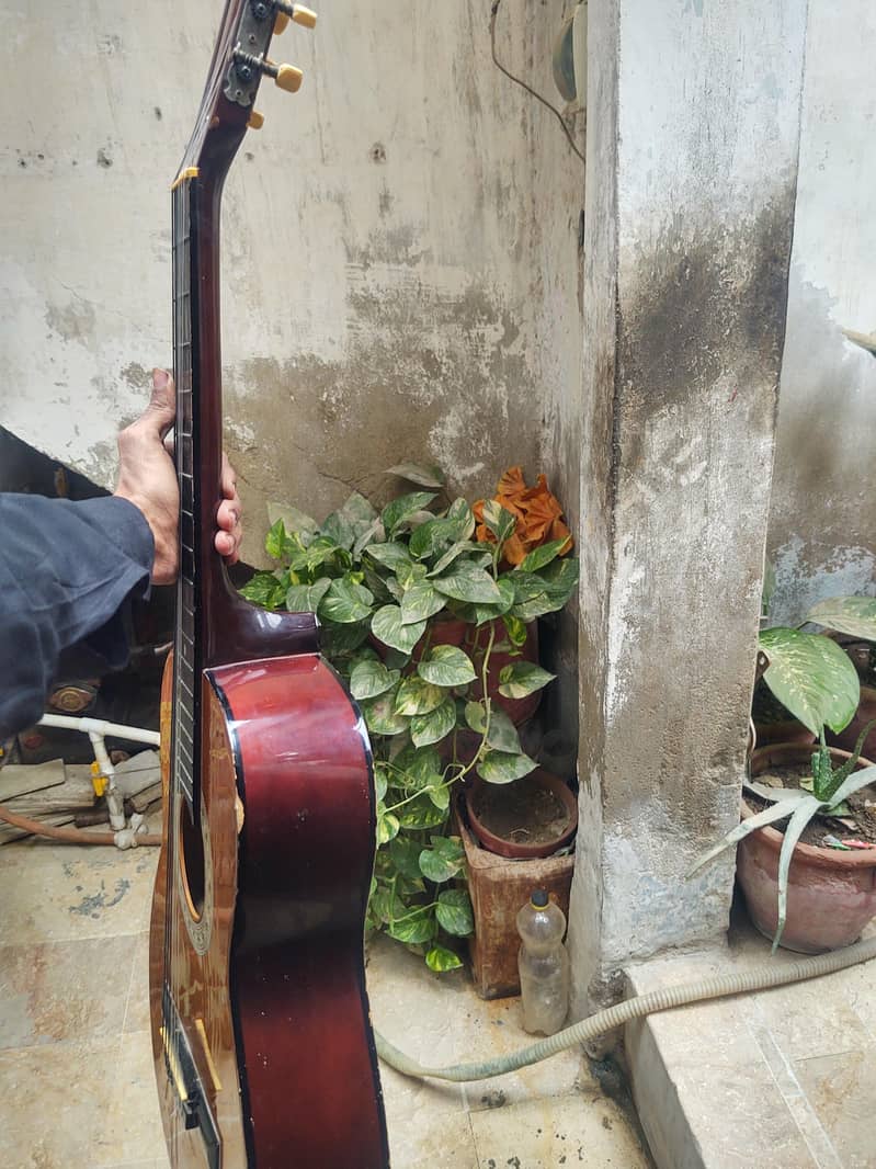 Guitar 5
