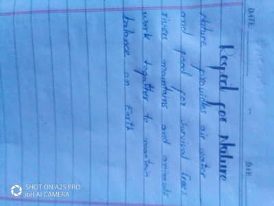 assignment writing