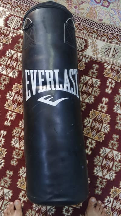 Everlast boxing bag with gloves deal