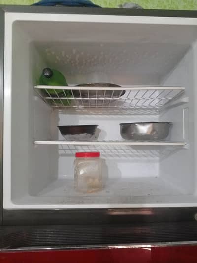 Hair fridge