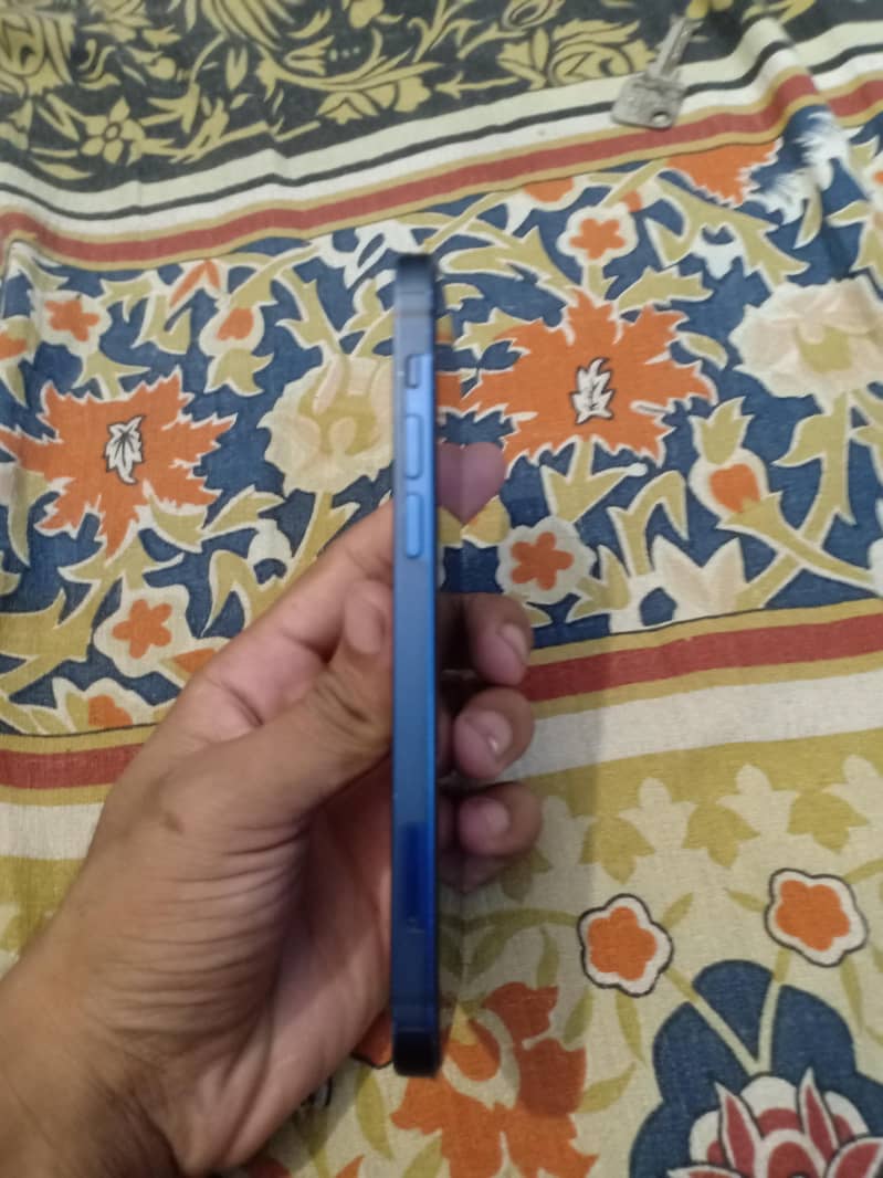 Apple iPhone 12 1