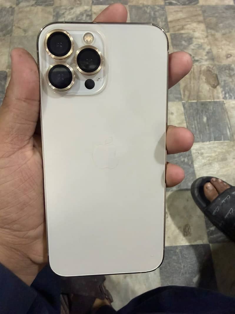 Apple iPhone 13 Pro Max 1