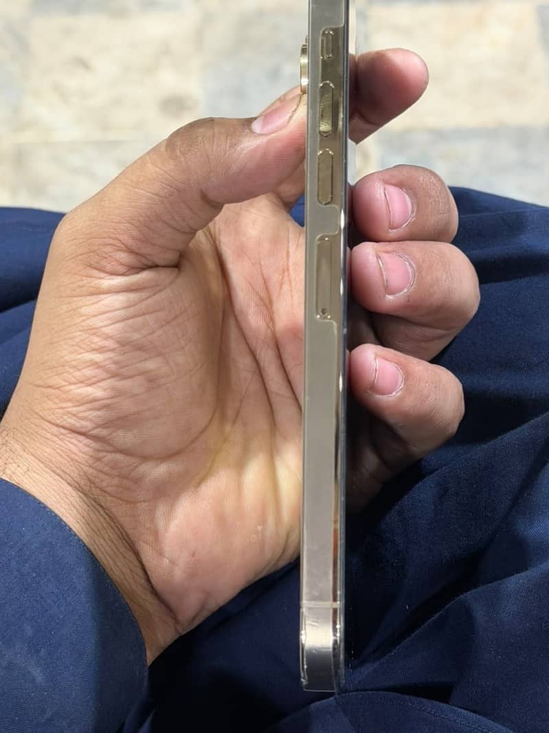 Apple iPhone 13 Pro Max 2