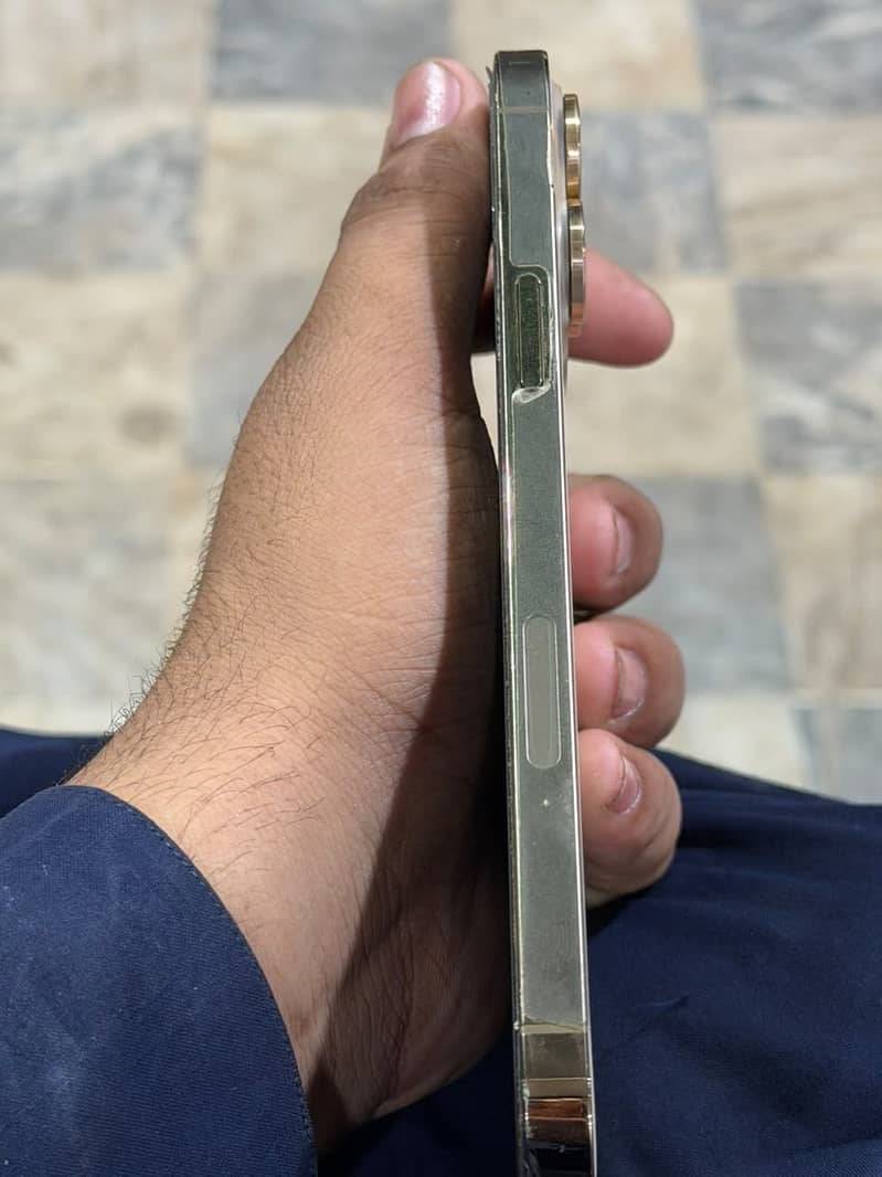 Apple iPhone 13 Pro Max 3