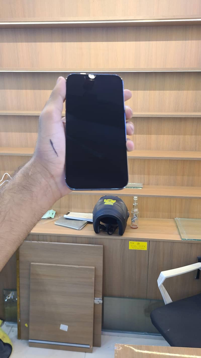 Apple iPhone 13 Pro Max 1