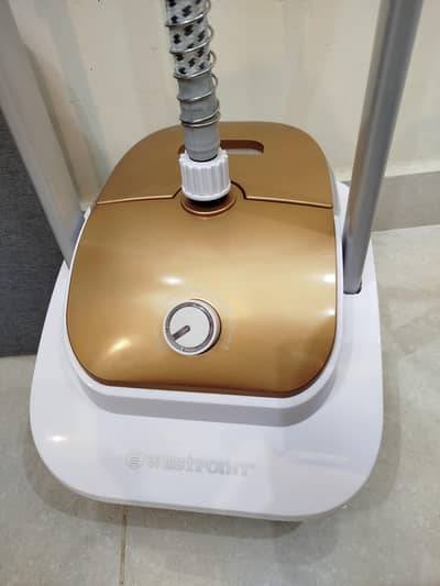 Steam Iron