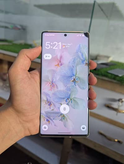 Google Pixel 6 Pro dual sim exchange possible