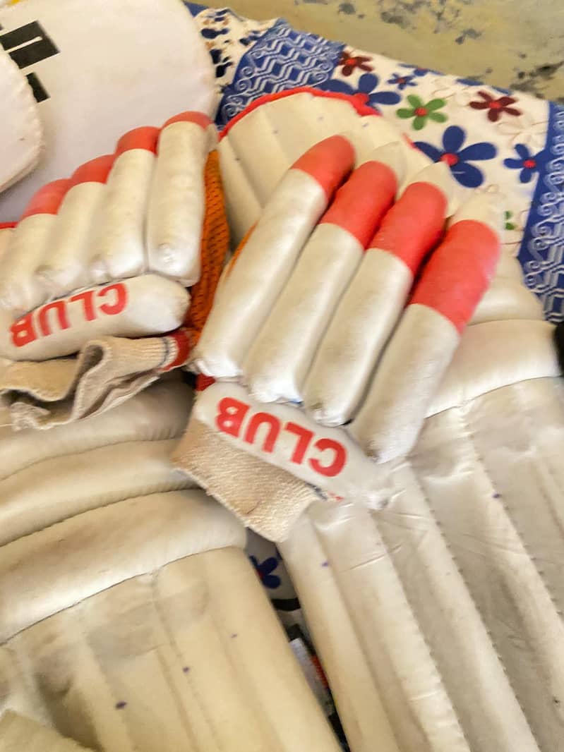 cricket kit 6