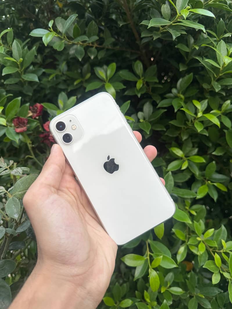 Apple iPhone 11 0