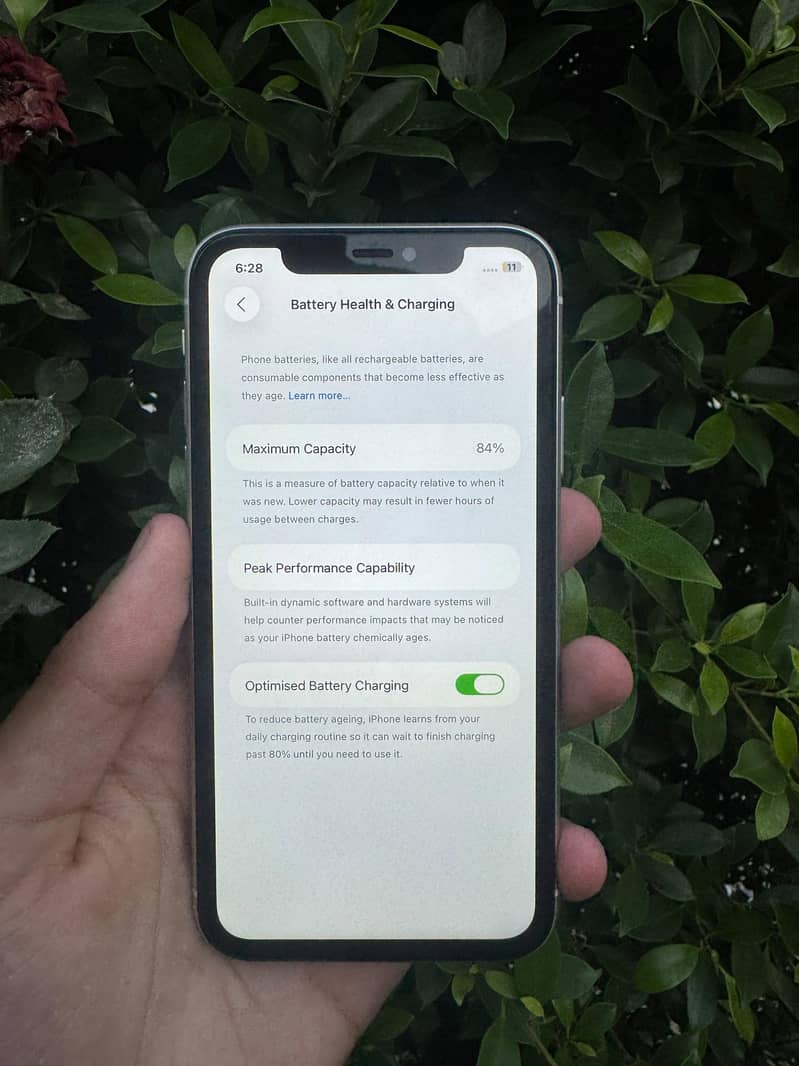 Apple iPhone 11 1