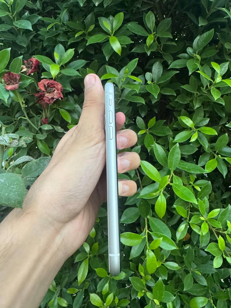 Apple iPhone 11 2