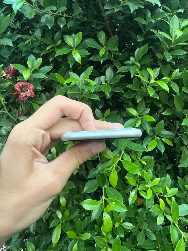 Apple iPhone 11 3