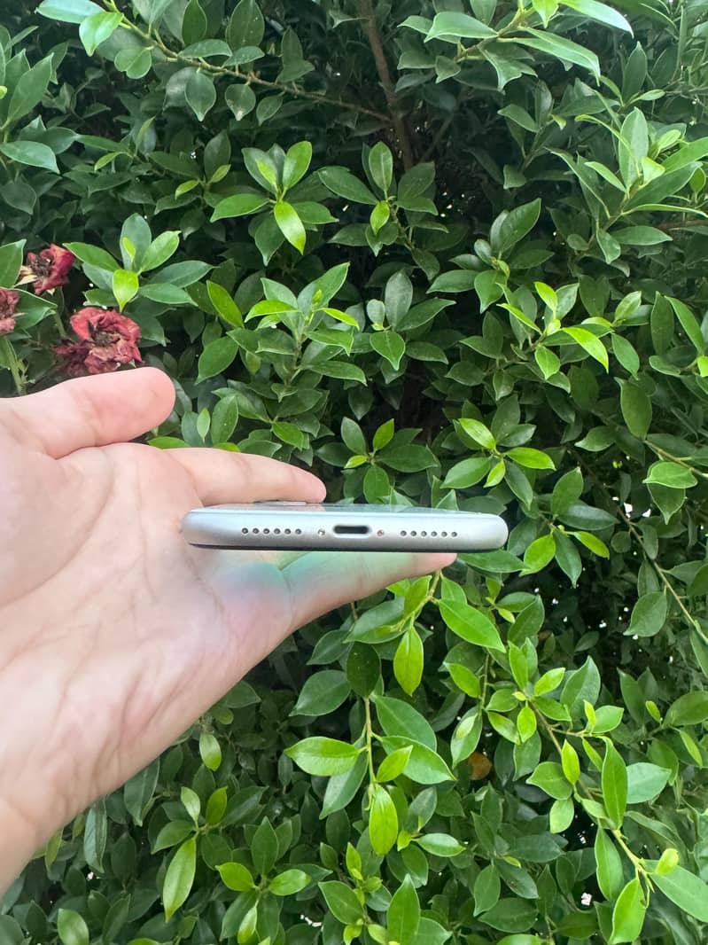 Apple iPhone 11 4