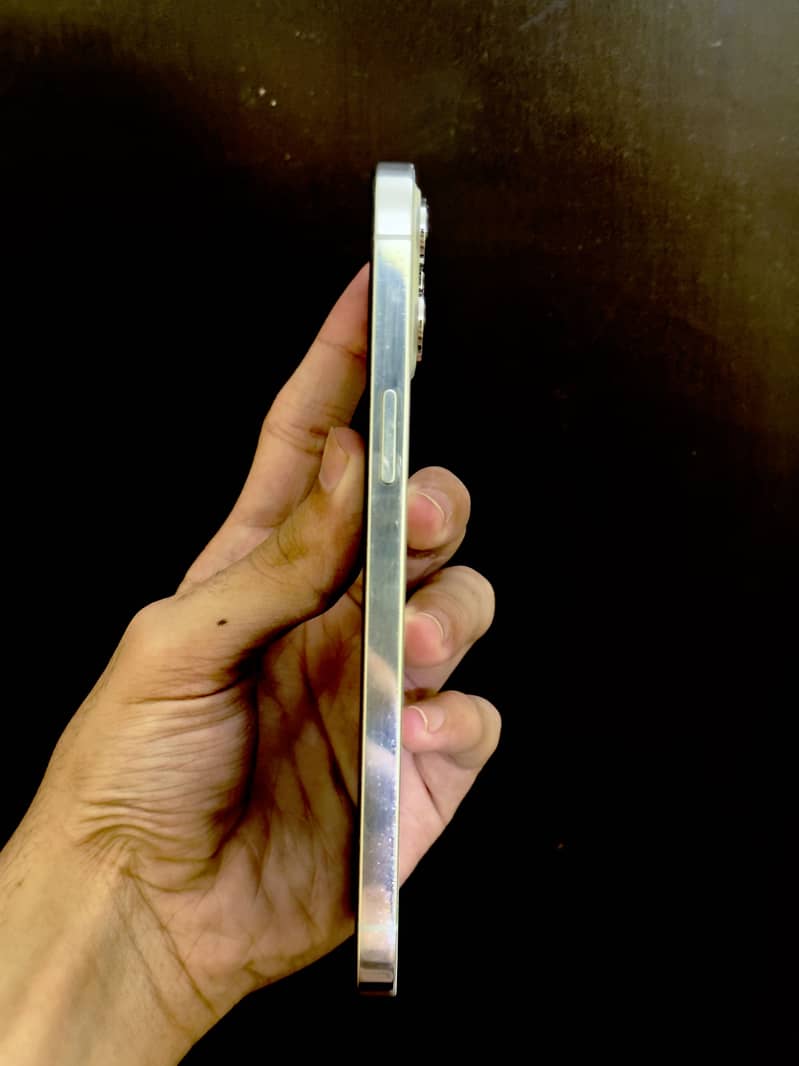 Apple iPhone 12 Pro Max 3