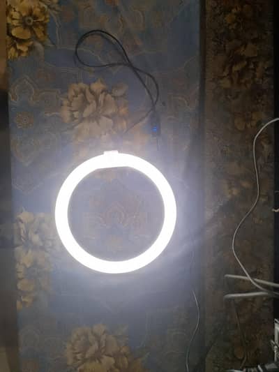 12 inch big USB light